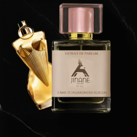 DivineJean Paul Gaultier  (Pour Femme) Extrait De Parfum – Jinane Parfums
