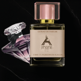 La Nuit Trésor Lancôme ( Pour Femme) – Extrait De Parfum  Jinane Parfums